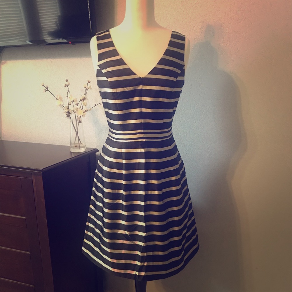 J Crew Striped Fit and Flare Dress NWT